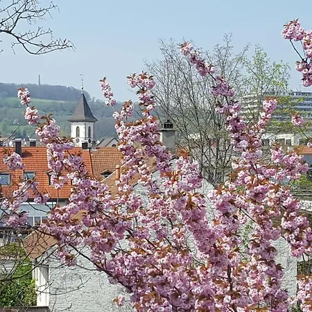 Villa Am Rosenfelspark Lörrach Zewnętrze zdjęcie