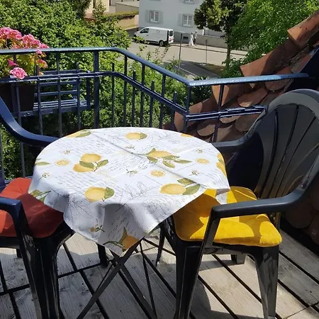 Villa Am Rosenfelspark Lörrach Zewnętrze zdjęcie