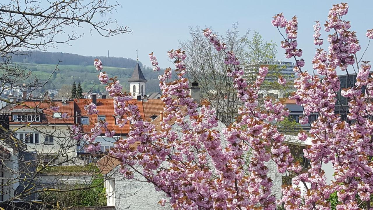 Am Rosenfelspark Apartment Lorrach
