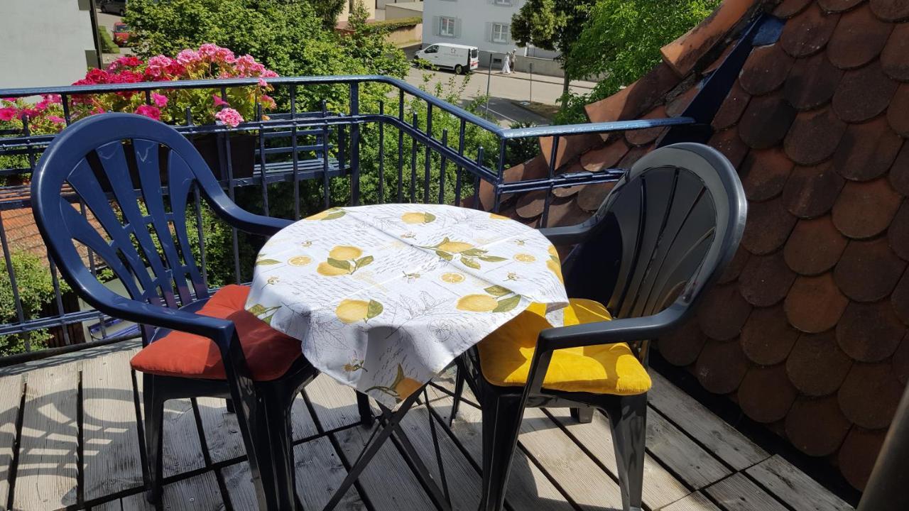 Am Rosenfelspark Apartment
