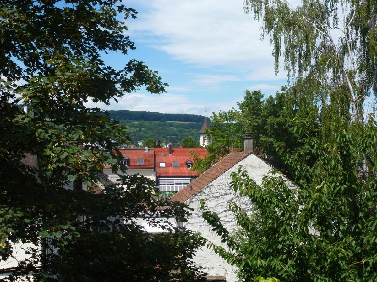 Am Rosenfelspark
