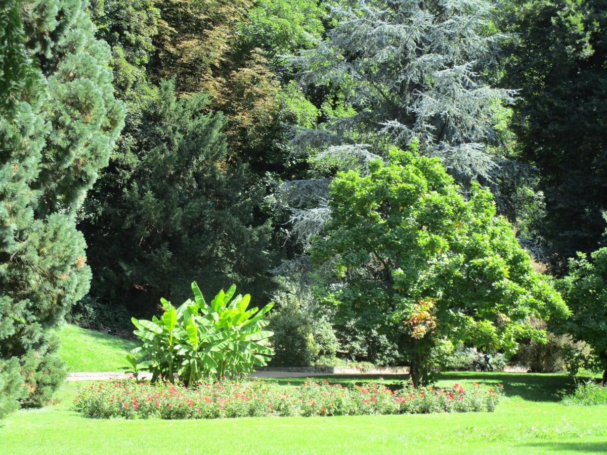 Am Rosenfelspark * Lorrach